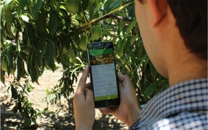 Agrom&oacute;vil, nuevo canal para facilitar acceso a la banca v&iacute;a celular