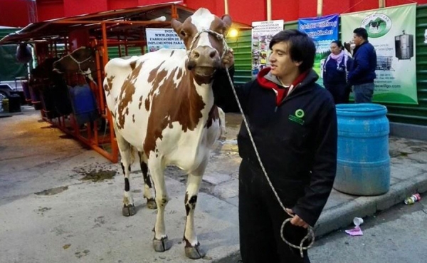 Uniagraria, la gran aliada log&iacute;stica de Agroexpo