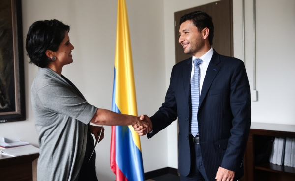 Minhacienda posesiona director de Fogaf&igrave;n