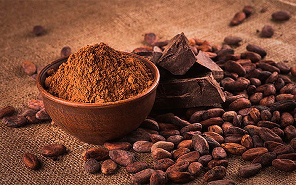 Retos cacaoteros: Productividad, consumo y exportaci&oacute;n