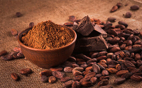 Retos cacaoteros: Productividad, consumo y exportaci&oacute;n
