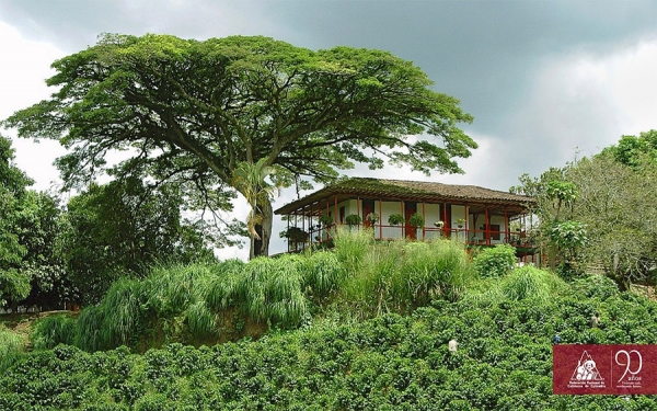J&oacute;venes cafeteros, la sangre nueva de la renovaci&oacute;n y la sostenibilidad