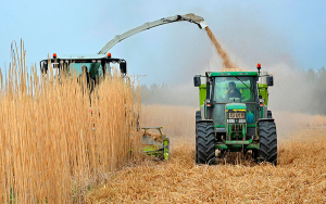 &iexcl;S.O.S por los biocombustibles!