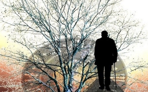 Alzheimer en tu plato: estos productos aceleran la p&eacute;rdida de la memoria