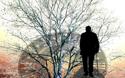 Alzheimer en tu plato: estos productos aceleran la p&eacute;rdida de la memoria