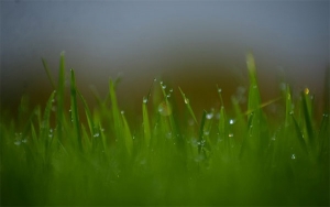 Fedearroz tiene todo listo para la reuni&oacute;n t&eacute;cnica nacional y feria tecnol&oacute;gica