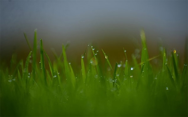 Fedearroz tiene todo listo para la reuni&oacute;n t&eacute;cnica nacional y feria tecnol&oacute;gica