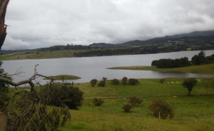 En riesgo la vida por posibles aumentos de temperatura