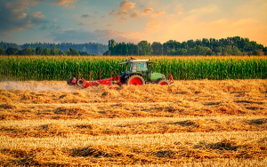 Cultivos transitorios en Colombia cayeron 4 % en &aacute;reas sembradas: UPRA