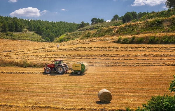 Precios mundiales de los alimentos disminuyen en 2018: FAO