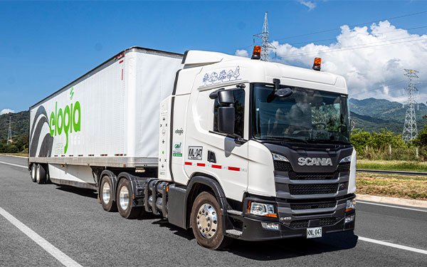 Elogia, la gran apuesta competitiva del Grupo Daabon que sigue repuntando