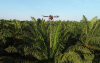 Tecnolog&iacute;a, una necesidad en el campo: Del agricultor al agricul-DRON