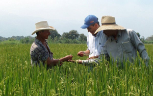 AMTEC, competitividad y soberan&iacute;a alimentaria en medio de crisis clim&aacute;tica