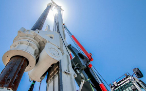 Mansarovar exonerada de responsabilidad en pliego de cargos por la ANLA