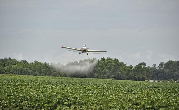 Colombia utilizar&aacute; herbicida glifosato hasta que presidente Santos lo ordene