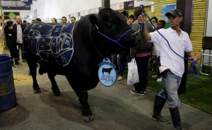 Agroexpo cierra con negocios por m&aacute;s de 30 millones de d&oacute;lares