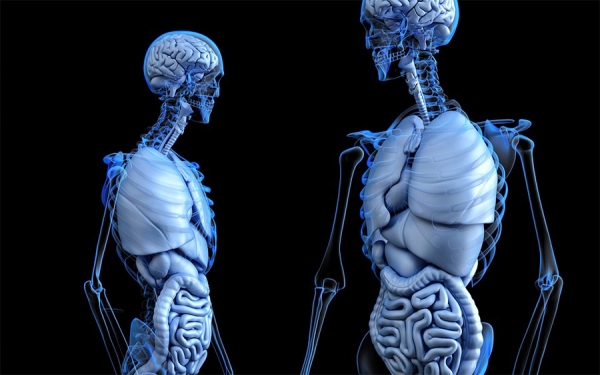 C&aacute;ncer de Colon, segunda causa de muerte en Latinoam&eacute;rica