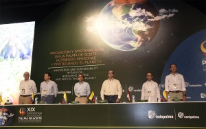 D&oacute;lar de la coca castiga esfuerzo de la econom&iacute;a legal: Fedepalma