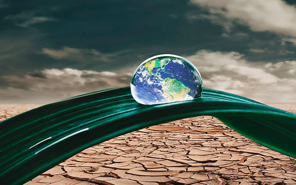 2024, el a&ntilde;o m&aacute;s c&aacute;lido y primero con temperatura 1,5&deg;C superior al preindustrial