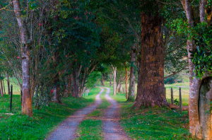 Nace &ldquo;Colombia Progresa 2630&rdquo;, hoja de ruta para el futuro socioecon&oacute;mico