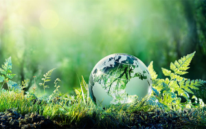 BBVA se consolida como el banco m&aacute;s sostenible de Europa y segundo del mundo