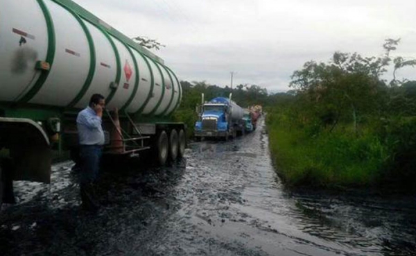 Multinacionales dicen que la guerrilla es un depredador ambiental