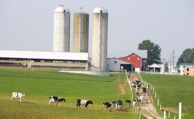 Sector lechero lanza S.O.S por aumento de importaciones l&aacute;cteas