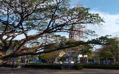 Hato Corozal, un municipio agropecuario con empuje y encanto llanero