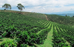 FNC pide precio remunerativo ante productores de todo el mundo