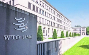 OMC en crisis y en mora de una reforma urgente de las reglas