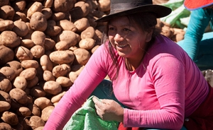 Am&eacute;rica Latina y el Caribe cuentan con sistema de informaci&oacute;n para mercados justos