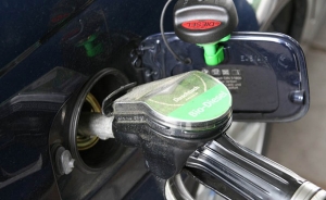 Gobierno mexicano espera descenso del precio de la gasolina en enero pr&oacute;ximo