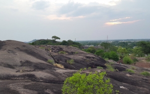 Multinacionales miran al Vichada: &iquest;Habr&aacute; que sacar pasaporte?