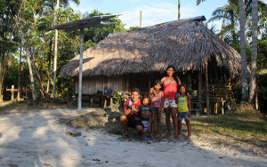 IPSE y ONG inglesa llevar&aacute;n energ&iacute;a a las Zonas No Interconectadas