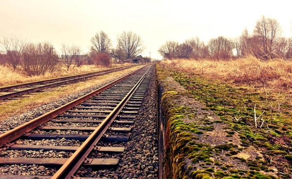 China participar&aacute; en estudios de viabilidad para el primer tren bala indio