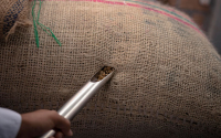 Sismo en Colombia causar&iacute;a graves p&eacute;rdidas en exportaciones de caf&eacute;