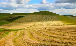 Exportaciones de productos agroalimentarios europeos crecieron 1,6 % en 2014