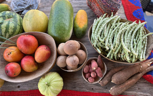 Agricultura sostenible mejora la seguridad alimentaria en el campo