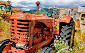 De espaldas al campo