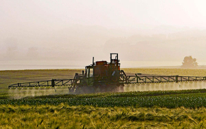 Suelos t&oacute;xicos la amenaza, importa m&aacute;s la plata que la salud: Castro Cabrera