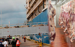 Ganader&iacute;a colombiana debe crecer para seguir con la primavera exportadora