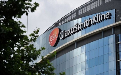 GSK, en el segundo lugar del &iacute;ndice de sostenibilidad empresarial 2017