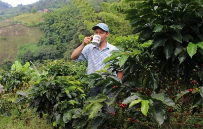 Caf&eacute;, arrier&iacute;a e historia, encantos que enarbolan los caminos de Caldas
