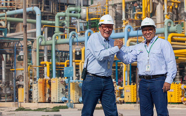 El l&iacute;o de mon&oacute;meros