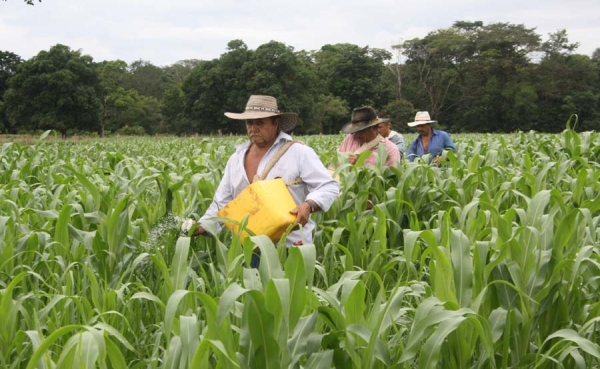 Con cr&eacute;dito de inclusi&oacute;n hay campo para todos: Finagro